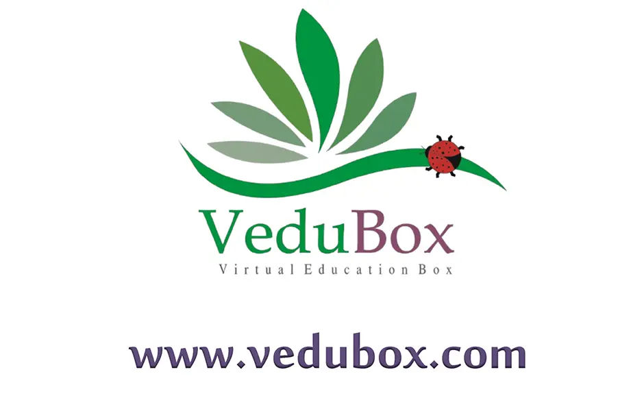 vedubox-hakkimizda1[1]