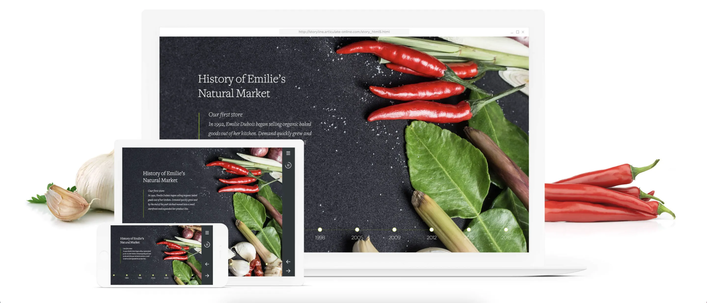 articulate story line 360 articulate story line 360